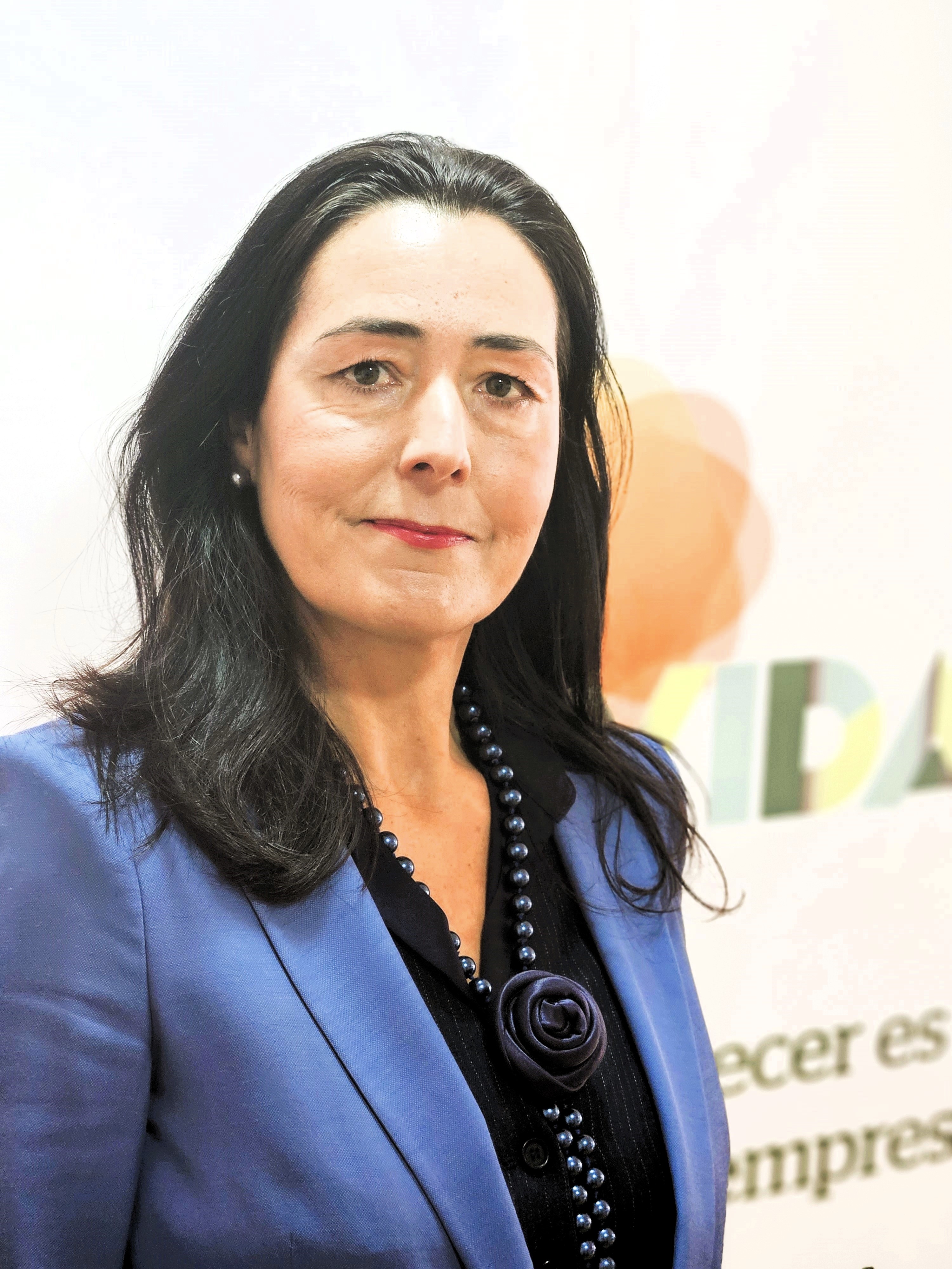 Mercedes Arana, fundadora de Aravida Consulting